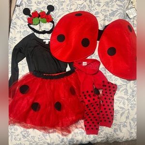 READ DESCRIPTION Pottery Barn Kids Ladybug Costume